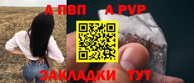СК Новодвинск