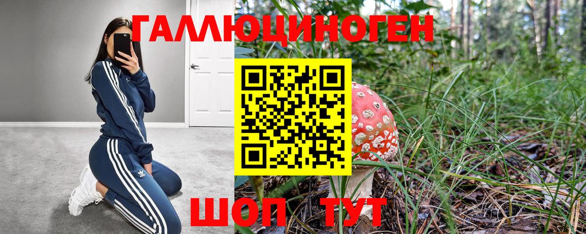 Галлюциногенные грибы Psilocybine cubensis Югорск