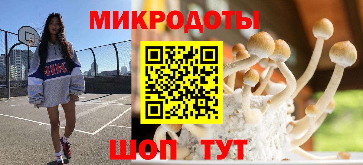 Югорск  Галлюциногенные грибы Psilocybe  Вход с VPN 